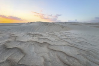 Sunset, white sand dunes in the Khaluf desert, Oman