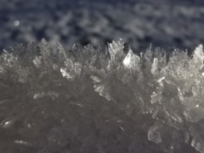 Detailed ice crystals sparkle in a frosty winter landscape, Franconian Forest