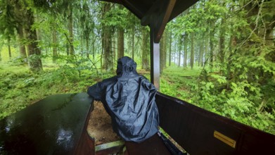 Person under a wooden shelter in a rainy forest, surrounded by lush greenery, Fichtelgebirge, Upper