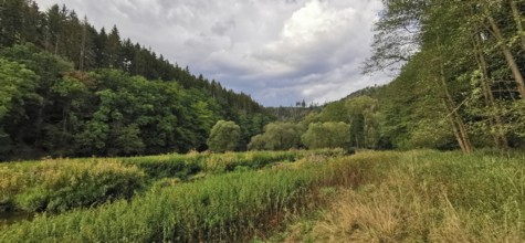 Meadows and forests stretch under a sky full of clouds, Thuringian Forest, Germany