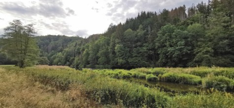 A river snakes through a wooded landscape under cloudy sky, Thuringian Forest, Germany