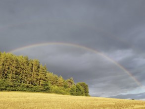 A rainbow stretches across fields and a forest under dark clouds