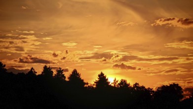 Dramatic sunset with silhouetted trees and bright orange sky