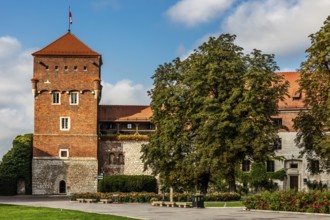 View of the courtyard, Wawel Castle, Wawel Castle, former center of Polish monarchy, founded around