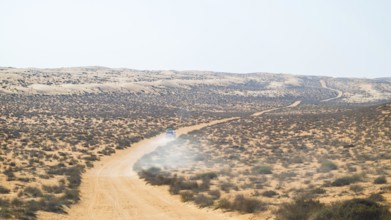 Car drives over sandy road, Wahiba Sands desert, Oman