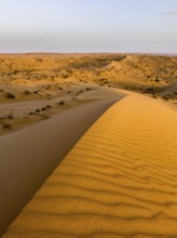 Sand dunes in the Wahiba Sands desert, Oman