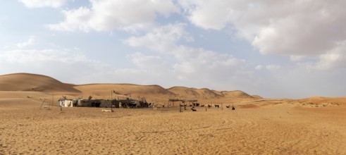 Bedouin camp in the sand dunes in the Wahiba Sands desert, Oman