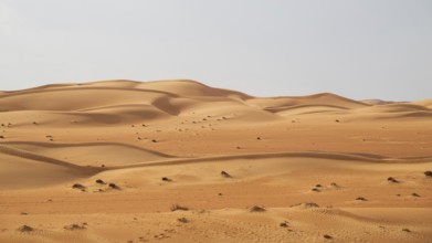 Sand dunes in the Wahiba Sands desert, Oman
