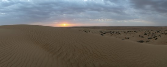 Sunset, sand dunes in the Wahiba Sands desert, Oman