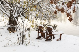 Two brown stained wooden Adirondack chairs by riverside framed by Salix - Willow and Quercus - Oak