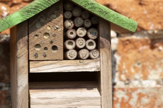 Bee or bug hotel or insect house on a brick wall in a garden, England, United Kingdom