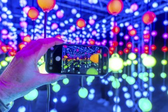 Park lights, winter event, in the Grugapark in Essen, many different light installations, across