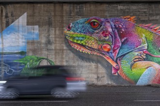 Colourful graffiti, mural, iguana or lizard in rainbow colors, in a motorway bridge underpass of