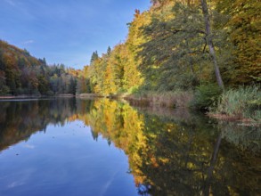 Egelsee in autumn-colored surroundings, Bergdietikon, Canton of Aargau, Switzerland