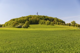 Großer Berg mit Sendemast, Großhennersdorf, Herrnhut, Upper Lusatia, Saxony, Germany