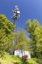 Steinernes Meer natural monument, Großer Berg in Großhennersdorf, Herrnhut, Upper Lusatia, Saxony,