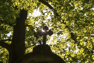 Silhouette of a cross with sun surrounded by trees, St. Marienthal Abbey in Ostritz, Saxony,