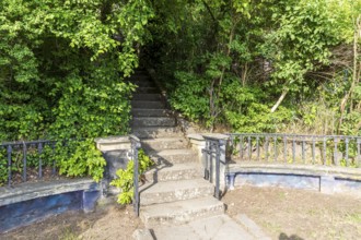 View of the Elbe and Dresden, Royal Vineyard Wachwitz, Dresden, Saxony, Germany