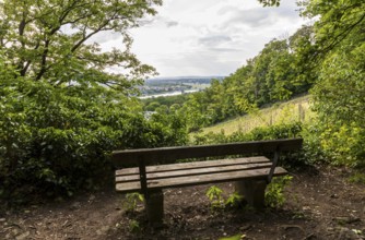 Bench with view of the Elbe with Blue Wonder, Royal Vineyard Wachwitz, Dresden, Saxony, Germany