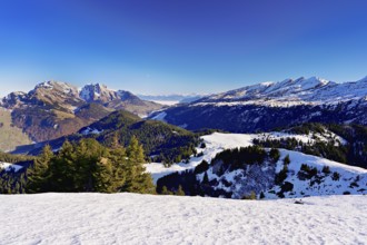 View of snow-covered Säntis and Churfirsten from Gulmen, Amden, Canton of St. Gallen, Switzerland