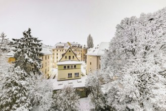 It snowed. There is snow in a garden with big trees. Stuttgart, Baden-Württemberg, Germany