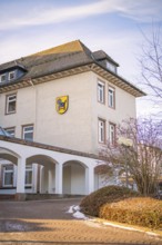 A traditional building with a coat of arms surrounded by winter landscape, fibreglass