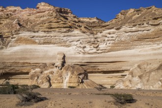 Limestone gorge of Wadi Shuwaymiyah, Dhofar, Oman