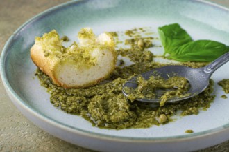 On a platter is a pesto sauce made from fresh basil, with a slice of bread and a spoon on a plate.