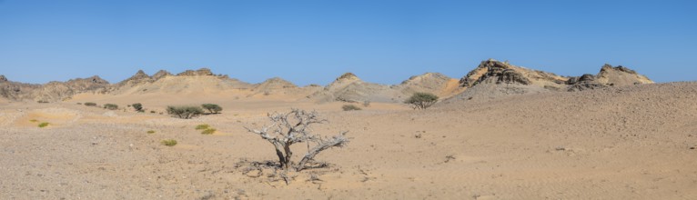 Barren landscape near Duqm, Oman