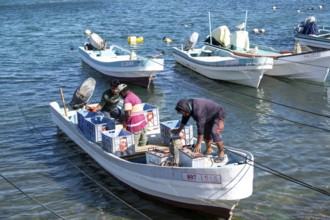 Fishing boats in Mirbat harbour, Oman