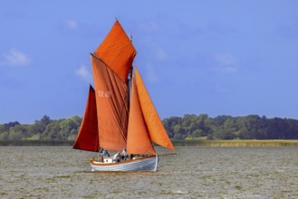 Zeesenboot, Zeesboot, Zeeskahn, traditional wooden wide-hulled sailing boat, Haffboot in