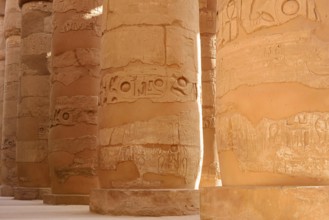 Columns with relief, Karnak Temple, Luxor, Egypt