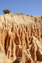 Eroded sandstone cliffs on the coast, Praia da Mesquita, Algarve, Portugal