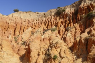 Eroded sandstone cliffs on the coast, Praia da Mesquita, Algarve, Portugal