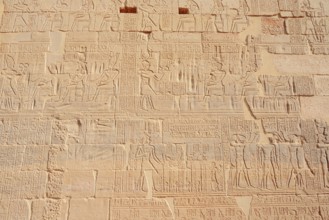 Relief, Philae Temple, UNESCO World Heritage Site, Agilkia Island, Aswan, Nubia, Egypt