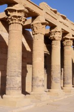 Colonnade or colonnade, Philae Temple, UNESCO World Heritage Site, Agilkia Island, Aswan, Nubia,