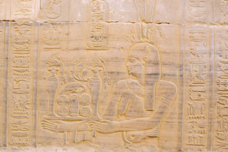 Relief at the double temple of Kom Ombo, Kom Ombo, Egypt