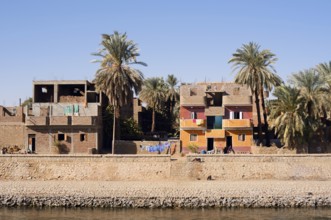 Houses and date palms on the banks of the Nile, Egypt