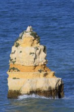 Rock in the sea, Praia do Camilo, Lagos, Algarve, Portugal