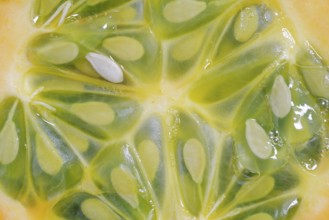 Horned cucumber, kiwano or horned melon (Cucumis metuliferus), sliced fruit, native to Africa