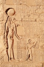 Relief of the goddess Menhit, Khnum temple of Esna, Egypt