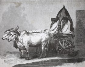 Indian touring car, single-axle tractor pulled by two cows, 1880, India, authentic, digitally