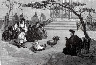 Cockfight in Japan, authentic, digitally restored reproduction from a 19th century model, exact