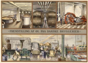 Traditional craft, beer production in a brewery in Denmark, 1930, illustration, reproduction from a