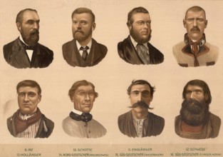Schematic diagram, European ethnic types: Irish, Scottish, English, Swede, Dutch, North German,
