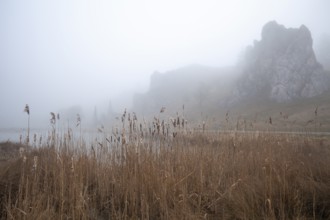 Spring 2026: Mystic morning fog surrounding the Stone Virgins (Steinerne Jungfrauen) rock formation