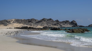 White sandy beach, secluded bay, turquoise blue sea, Omabn