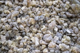 Incense, Salalah, Oman