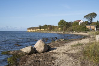 Boulders on the banks of the Saal, cliffs, Klein Zicker, Mönchgut, Rügen island, Baltic Sea,