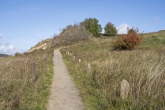 Trail above the steep coast, Hochuferweg, autumn colors, Klein Zicker, Mönchgut, Rügen island,
